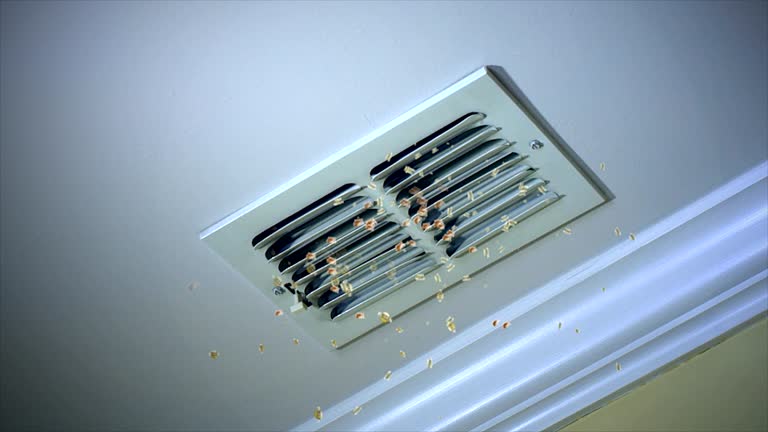 Best Air Duct Cleaning Company Near Me  in Cave City, KY