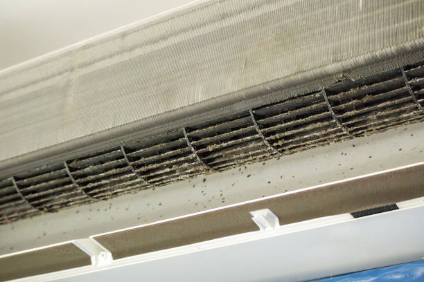 Best Air Duct Cleaning Near Me  in Cave City, KY